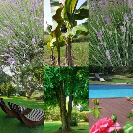 לינה וארוחת בוקר Douvilla