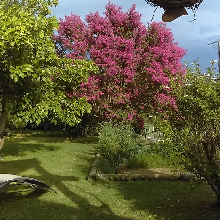 Douvilla 3* דוביל