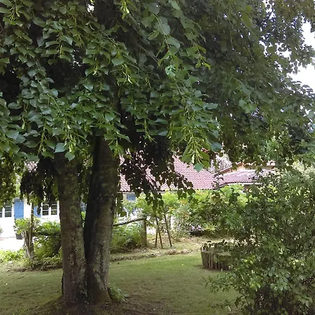 Douvilla