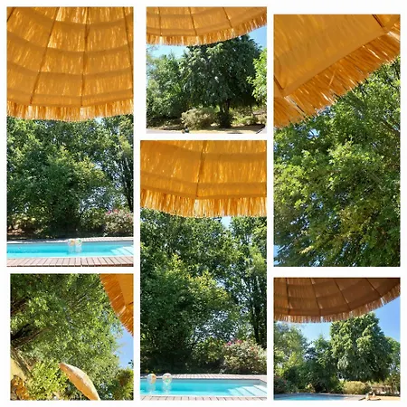 Douvilla