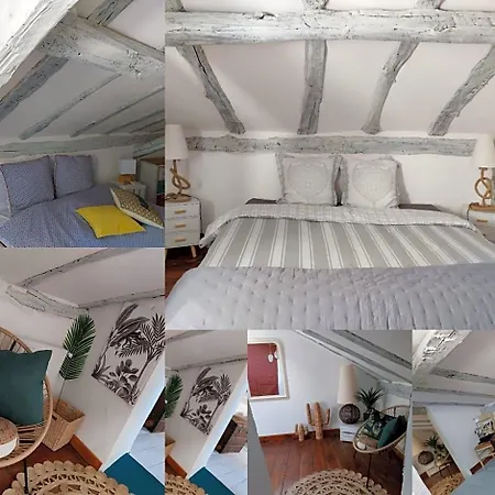Douvilla 3*