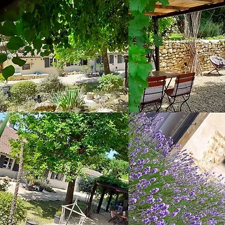 Douvilla دوفيل